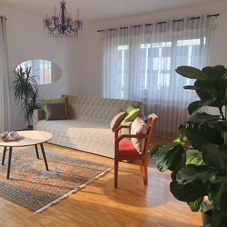 Charming Penthouse Near Como Lake Chiasso Bagian luar foto