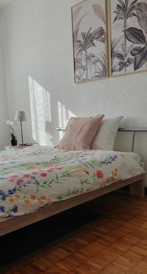 Charming Penthouse Near Como Lake Chiasso Bagian luar foto